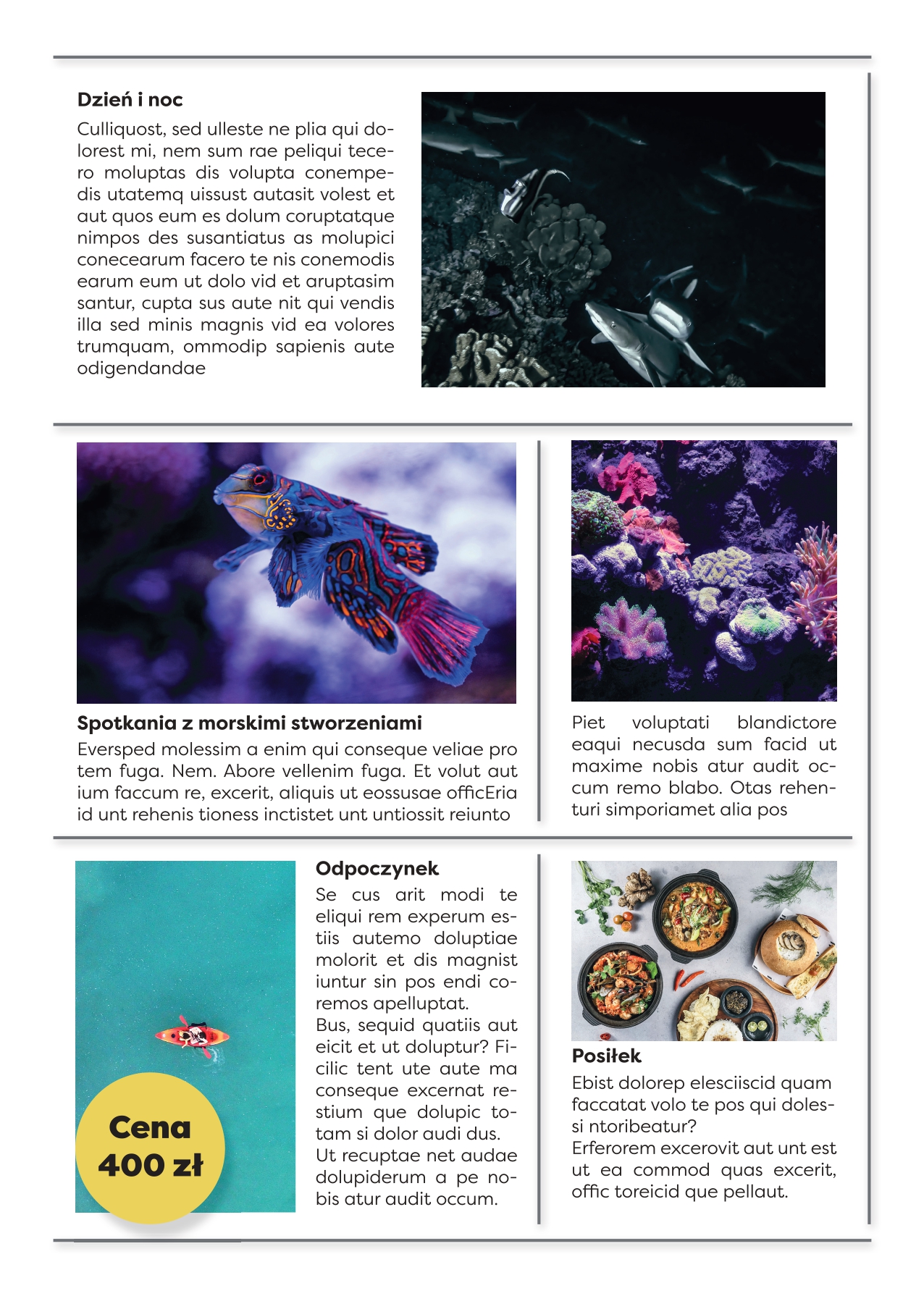 katalog